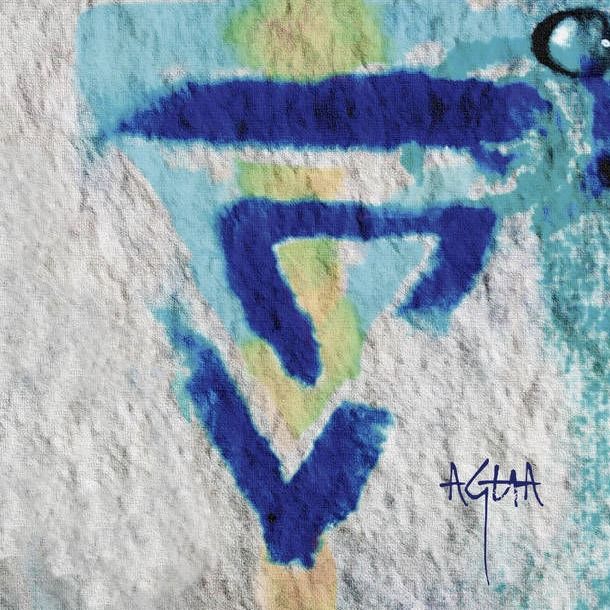 Cover of Agua